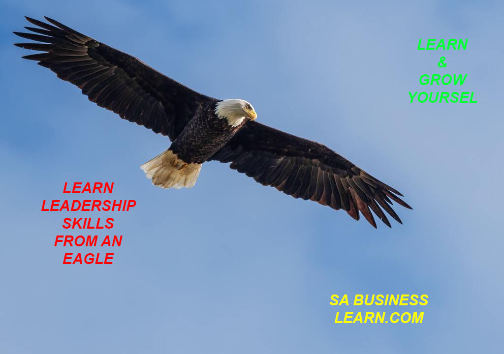 LEARN 7 LEADERSHIP SKILLS FROM EAGLE - Sabusinesslearn